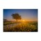 Stupell Industries Rising Sun Horizon Canvas Wall Art Design by Marty Hulsebos